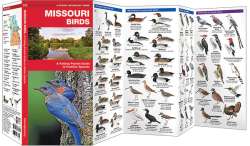 Missouri Birds