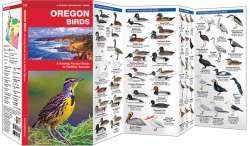 Oregon Birds