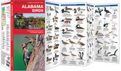 Alabama Birds