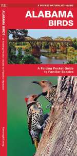 Alabama Birds - A Pocket Naturalist Guide (9781583551301)