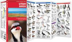Utah Birds