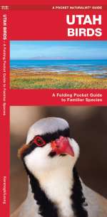 Utah Birds - Pocket Guide
