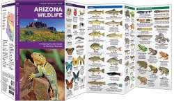 Arizona Wildlife - A Pocket Naturalist Guide
