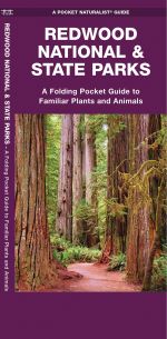 Redwood National & State Parks - Pocket Guide