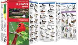 Illinois Birds