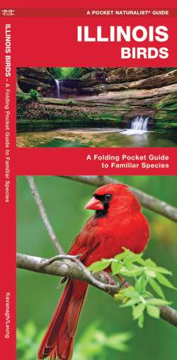 Illinois Birds - A Pocket Naturalist Guide