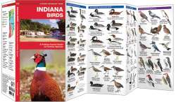Indiana Birds