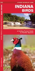 Indiana Birds - A Pocket Naturalist Guide (9781583551455)