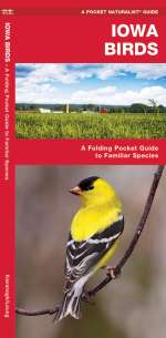 Iowa Birds - A Pocket Naturalist Guide (9781583551462)