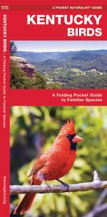 Kentucky Birds - Pocket Guide