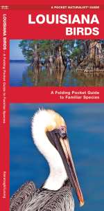 Louisiana Birds - A Pocket Naturalist Guide (9781583551493)