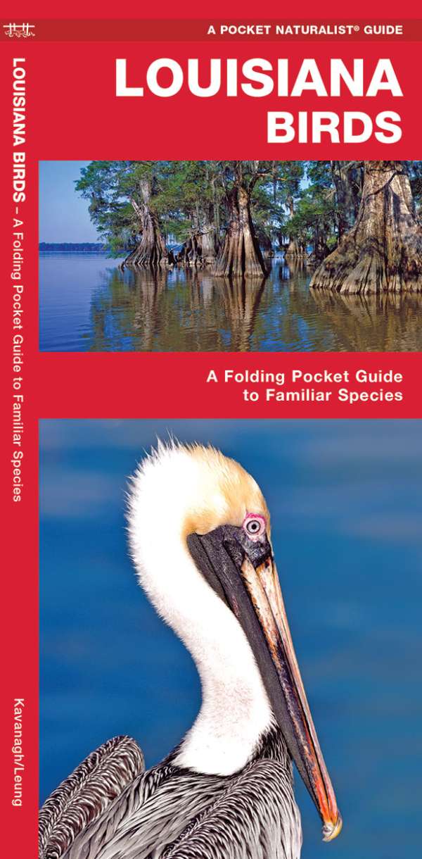 louisiana travel pocket guide 2023