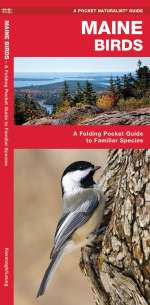 Maine Birds - A Pocket Naturalist Guide (9781583551509)