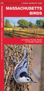 Massachusetts Birds - Pocket Guide