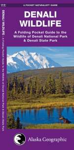 Denali Wildlife - Pocket Guide