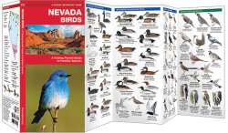Nevada Birds - A Pocket Naturalist Guide