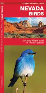 Nevada Birds - Pocket Guide