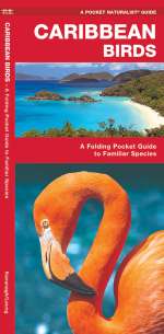 Caribbean Birds - Pocket Guide