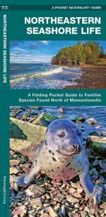 Northeastern Seashore Life - Pocket Guide