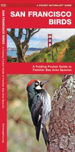 San Francisco Birds - Pocket Guide