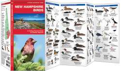 New Hampshire Birds - A Pocket Naturalist Guide