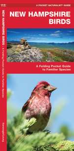 New Hampshire Birds - Pocket Guide