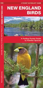 New England Birds - Pocket Guide