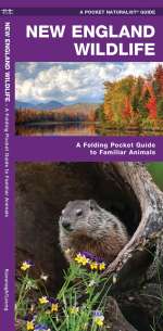 New England Wildlife - Pocket Guide