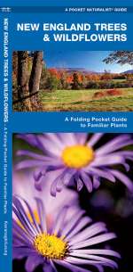 New England Trees & Wildflowers - Pocket Guide