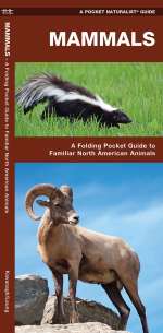 Mammals - Pocket Guide