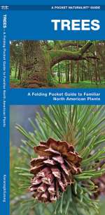 Trees - Pocket Guide