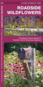 Roadside Wildflowers - Pocket Guide