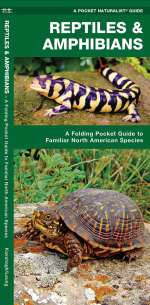 Reptiles & Amphibians - Pocket Guide