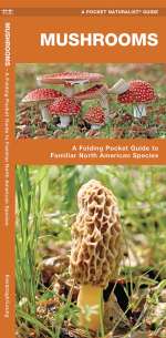 Mushrooms - Pocket Guide