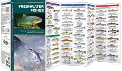 Freshwater Fishes