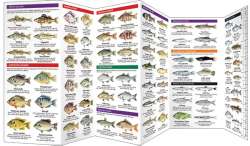 Freshwater Fishes