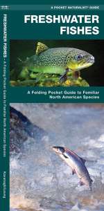 Freshwater Fishes - Pocket Guide