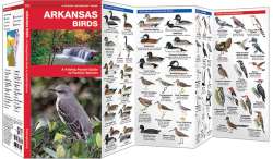 Arkansas Birds