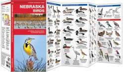 Nebraska Birds