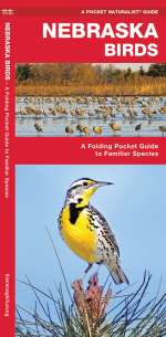 Nebraska Birds - Pocket Guide