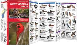 West Virginia Birds - A Pocket Naturalist Guide