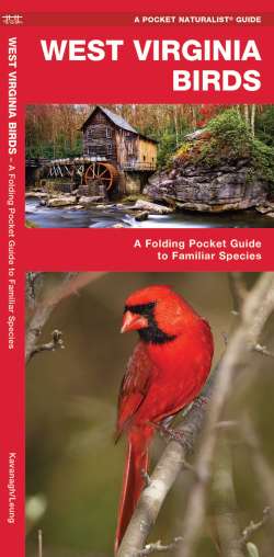 West Virginia Birds - A Pocket Naturalist Guide