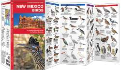 New Mexico Birds