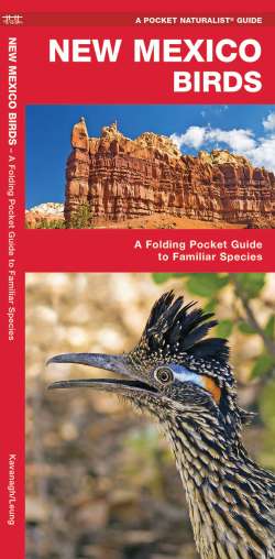 New Mexico Birds - A Pocket Naturalist Guide