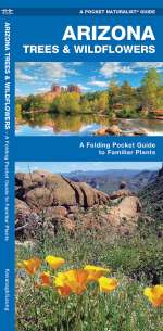 Arizona Trees & Wildflowers - A Pocket Naturalist Guide (9781583551882)