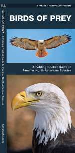 Birds of Prey - A Pocket Naturalist Guide (9781583551899)