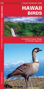 Hawaii Birds - A Pocket Naturalist Guide (9781583551974)