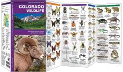 Colorado Wildlife - A Pocket Naturalist Guide