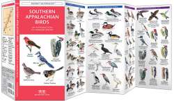 Southern Appalachian Birds