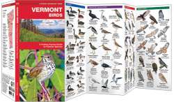Vermont Birds - A Pocket Naturalist Guide